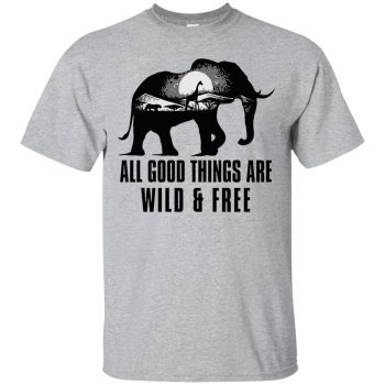 all good things are wild and free shirt - sport grey