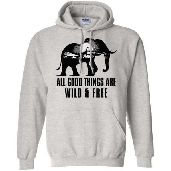 all good things are wild and free hoodie - ash
