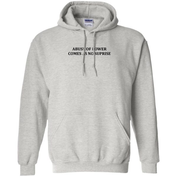 abuse of power comes as no surprise hoodie - ash