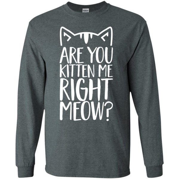 are you kitten me right meow long sleeve - dark heather