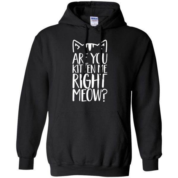 are you kitten me right meow hoodie - black