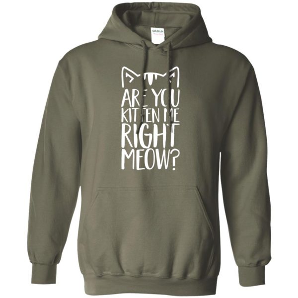 are you kitten me right meow hoodie - military green