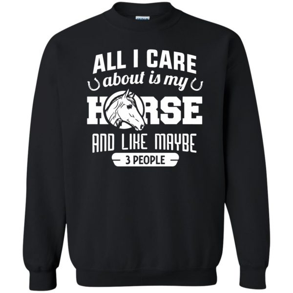 all i care about is my horse and like maybe 3 people sweatshirt - black
