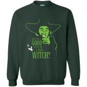 Wicked Witch Shirt - 10% Off - FavorMerch