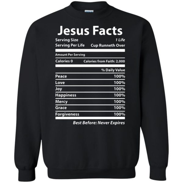 jesus facts sweatshirt - black