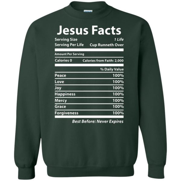 jesus facts sweatshirt - forest green