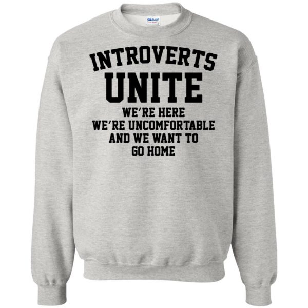 introvert sweatshirt - ash