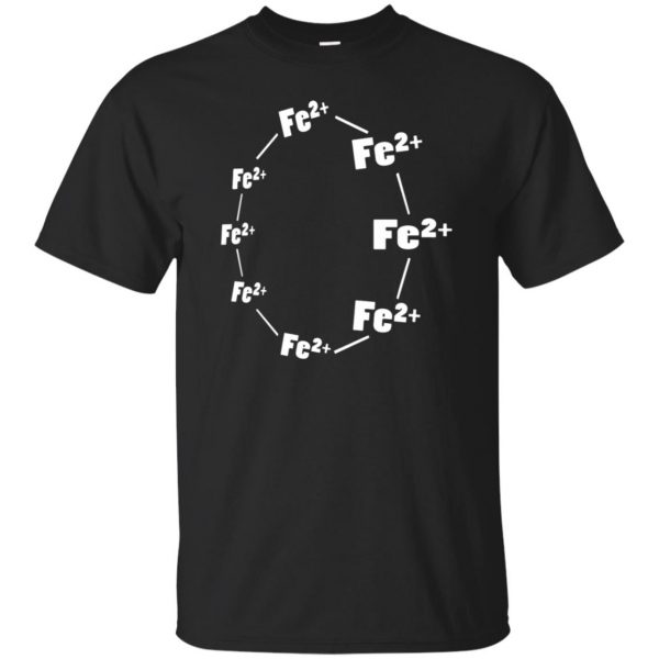 ferrous wheel shirt - black