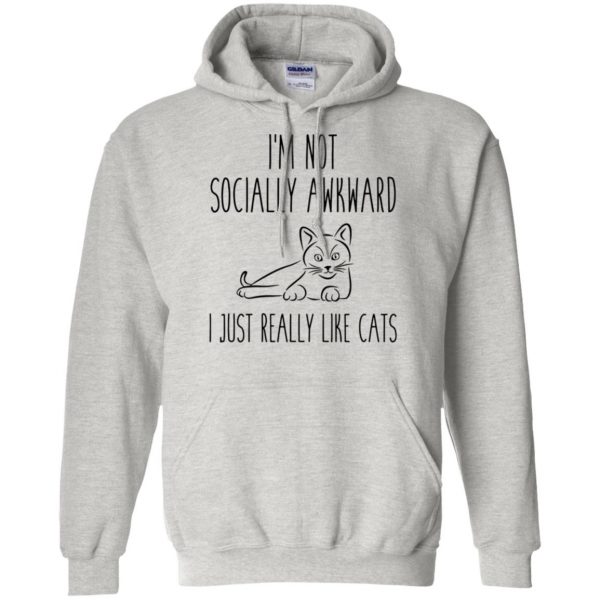 socially awkward hoodie - ash