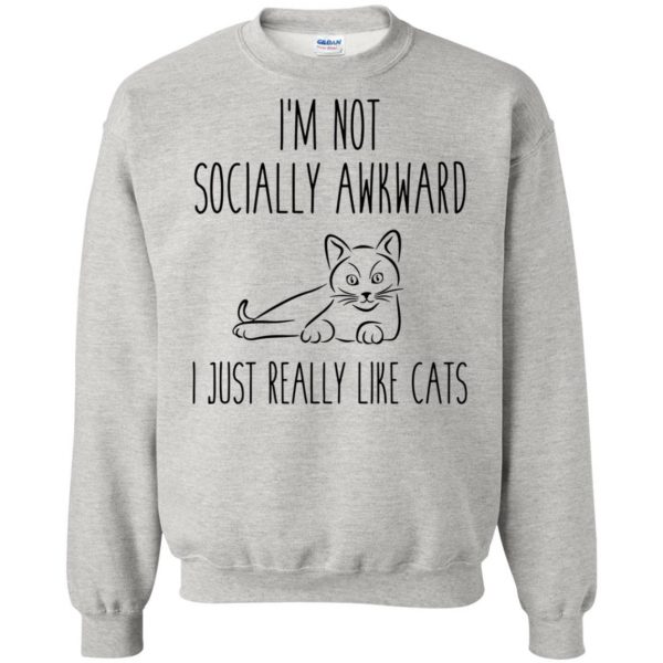 socially awkward sweatshirt - ash